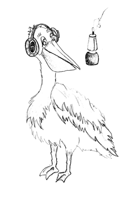 Pelican with headset