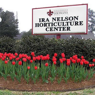 Festival des Fleurs de Louisiane - Annual Garden Show Benefits Ira Nelson  Horticulture Center - Discover Lafayette